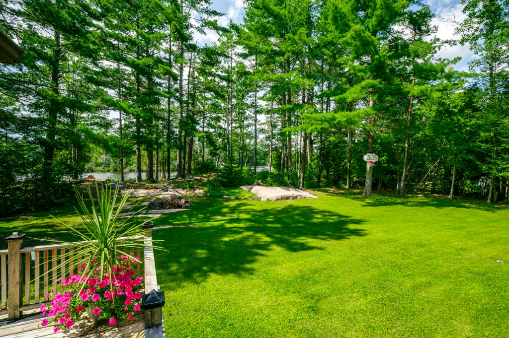 41 Hall Crescent, Trent Lakes photo 64