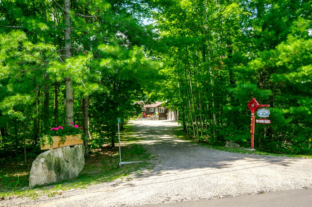 41 Hall Crescent, Trent Lakes photo 121