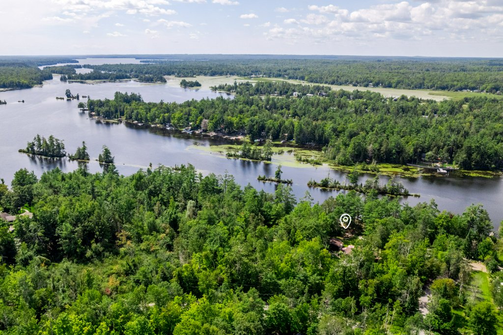 41 Hall Crescent, Trent Lakes photo 6