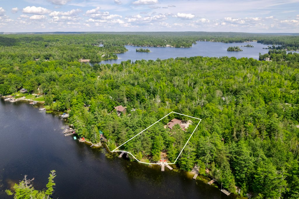 41 Hall Crescent, Trent Lakes photo 7