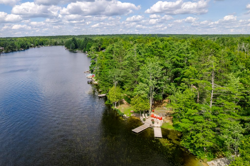 41 Hall Crescent, Trent Lakes photo 15